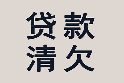 2000元借款未还，是否起诉就能解决问题？